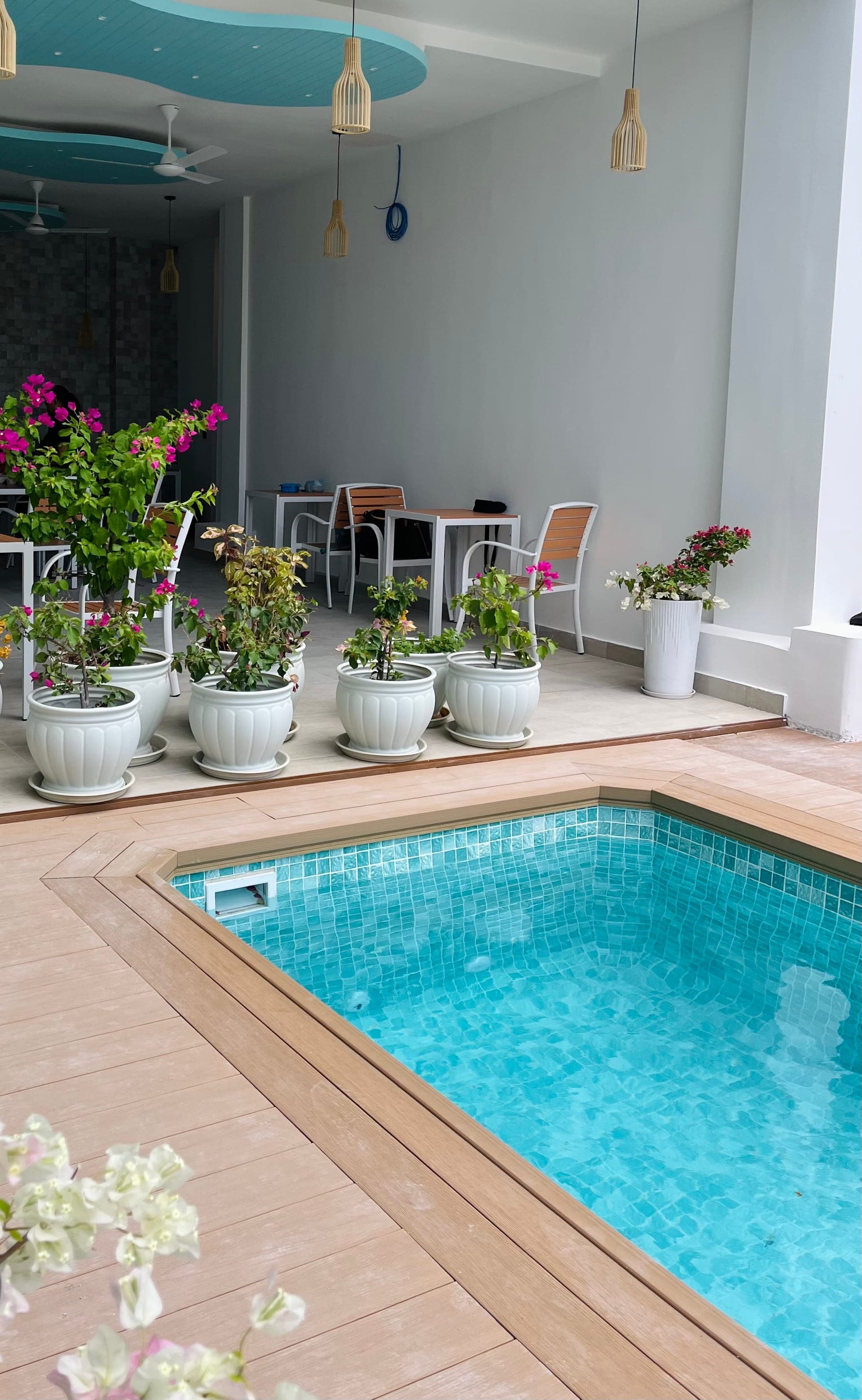 Pool area view