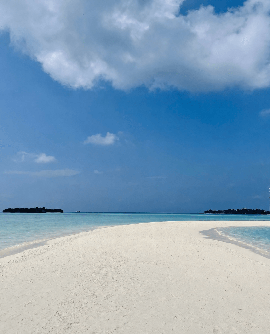Picknick auf der Sandbank