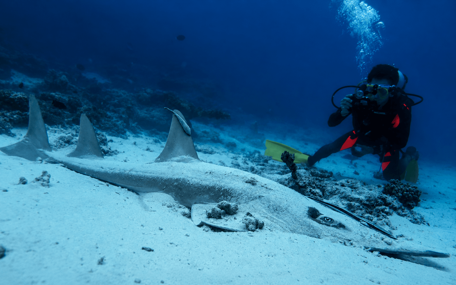 Scuba Diving